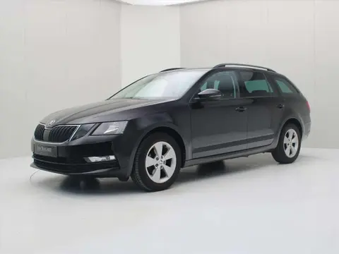 Used SKODA OCTAVIA Diesel 2019 Ad 