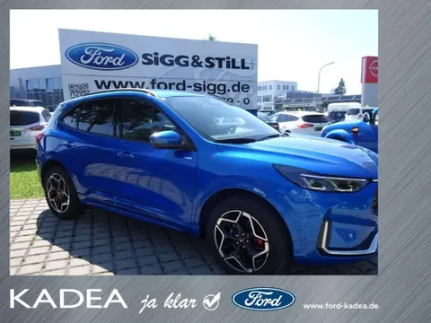 Used FORD KUGA Hybrid 2024 Ad 