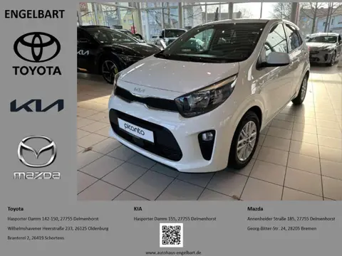 Used KIA PICANTO Petrol 2024 Ad 