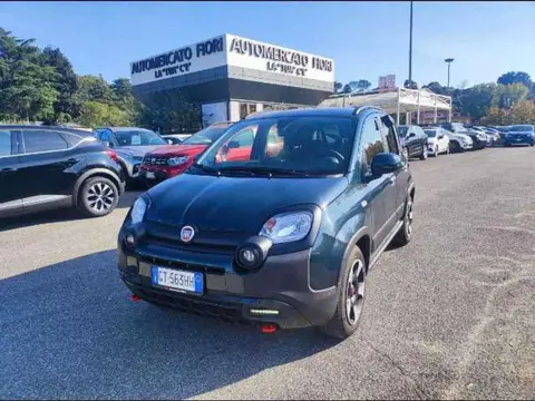 Annonce FIAT PANDA Hybride 2024 d'occasion 