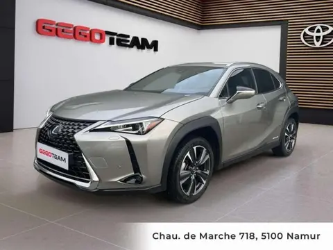 Used LEXUS UX Hybrid 2022 Ad 