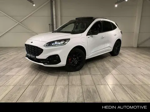 Annonce FORD KUGA Hybride 2023 d'occasion 