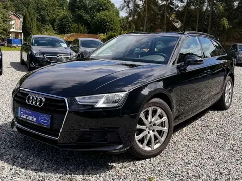 Used AUDI A4 Diesel 2019 Ad Germany