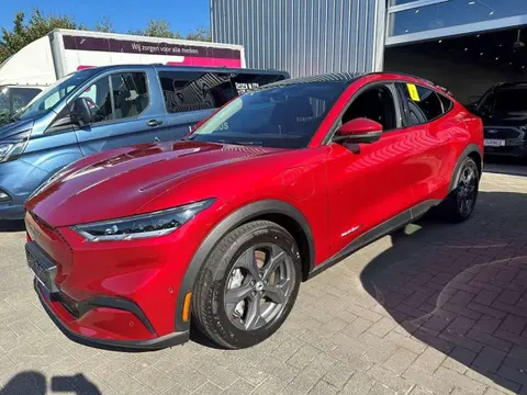 Annonce FORD MUSTANG Électrique 2022 d'occasion 