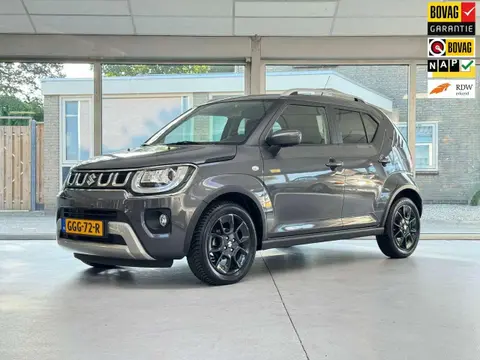 Annonce SUZUKI IGNIS Hybride 2022 d'occasion 