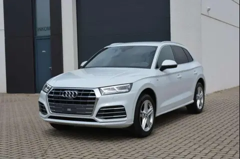 Used AUDI Q5 Hybrid 2020 Ad 