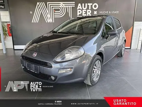 Used FIAT PUNTO Petrol 2018 Ad 