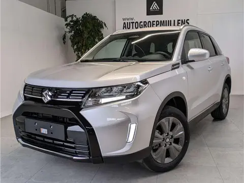 Used SUZUKI VITARA Hybrid 2024 Ad 