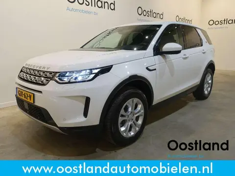 Annonce LAND ROVER DISCOVERY Hybride 2021 d'occasion 