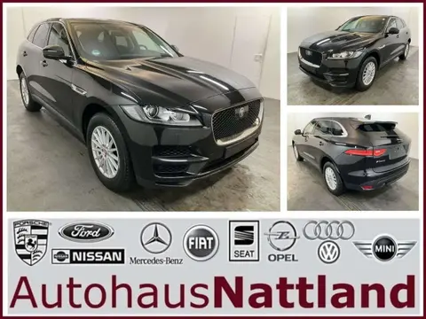 Used JAGUAR F-PACE Petrol 2020 Ad 