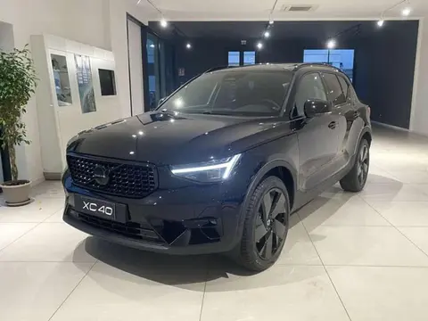 Used VOLVO XC40 Hybrid 2024 Ad 