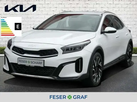 Used KIA XCEED Petrol 2023 Ad 