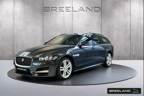 Used JAGUAR XF Petrol 2019 Ad 