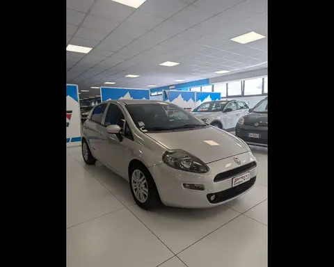 Used FIAT PUNTO Diesel 2019 Ad 