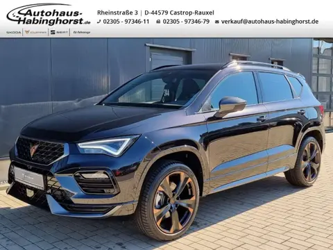 Annonce CUPRA ATECA Essence 2023 d'occasion 