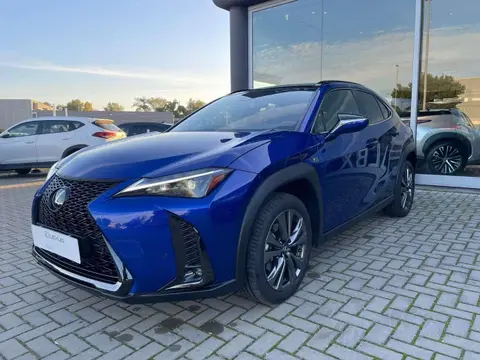 Annonce LEXUS UX Hybride 2023 d'occasion 