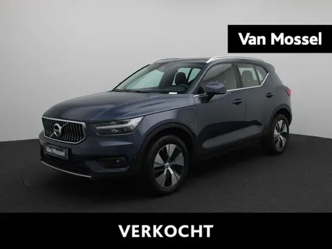 Used VOLVO XC40 Hybrid 2020 Ad 