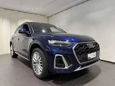 Used AUDI Q5 Hybrid 2021 Ad 