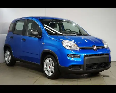 Annonce FIAT PANDA Hybride 2024 d'occasion 