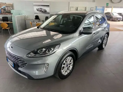 Used FORD KUGA Diesel 2020 Ad 