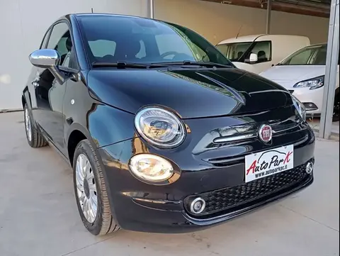 Annonce FIAT 500 Hybride 2023 d'occasion 