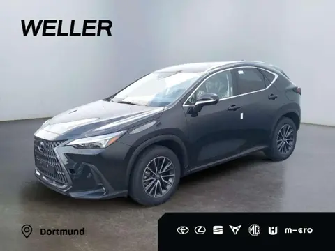 Used LEXUS NX Hybrid 2024 Ad 