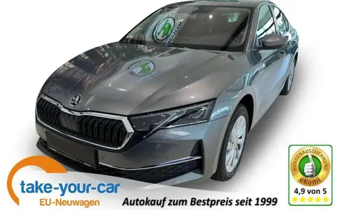 Used SKODA OCTAVIA Petrol 2024 Ad 