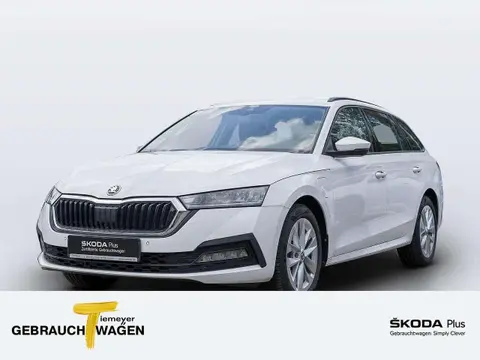 Annonce SKODA OCTAVIA Hybride 2022 d'occasion 