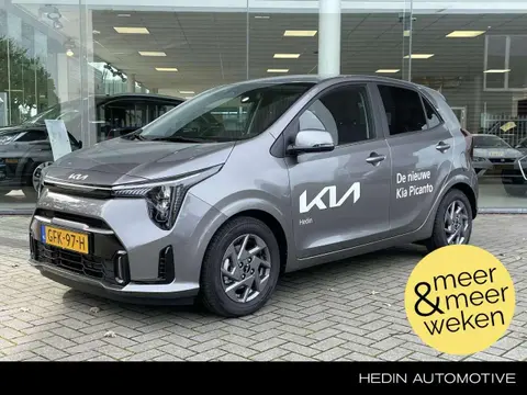 Used KIA PICANTO Petrol 2024 Ad 