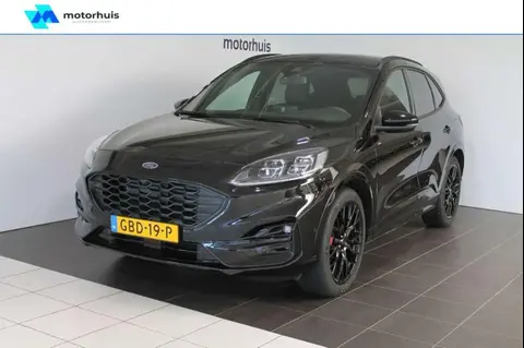 Annonce FORD KUGA Hybride 2024 d'occasion 