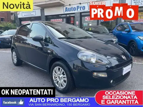 Used FIAT PUNTO Petrol 2016 Ad 