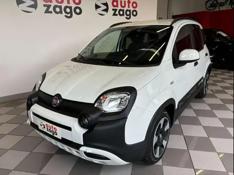 Used FIAT PANDA Hybrid 2024 Ad 