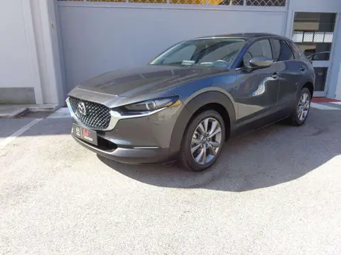 Annonce MAZDA CX-30 Hybride 2020 d'occasion 