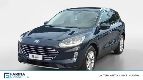 Used FORD KUGA Diesel 2022 Ad 