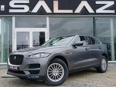 Used JAGUAR F-PACE Diesel 2018 Ad 