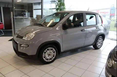 Annonce FIAT PANDA Hybride 2023 d'occasion 