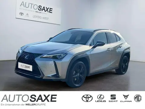 Used LEXUS UX Hybrid 2021 Ad 