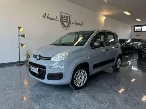 Used FIAT PANDA Petrol 2018 Ad 