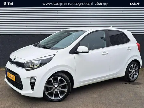 Used KIA PICANTO Petrol 2019 Ad 