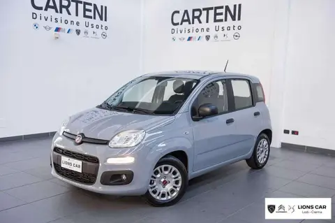 Annonce FIAT PANDA Essence 2021 d'occasion 