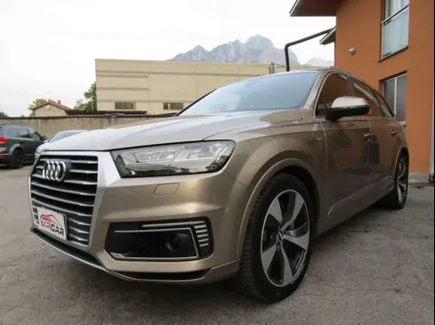 Used AUDI Q7 Hybrid 2019 Ad 