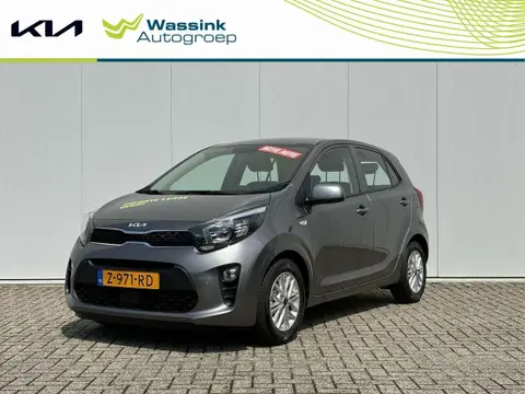 Used KIA PICANTO Petrol 2024 Ad 