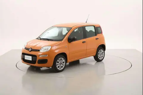 Annonce FIAT PANDA  2018 d'occasion 