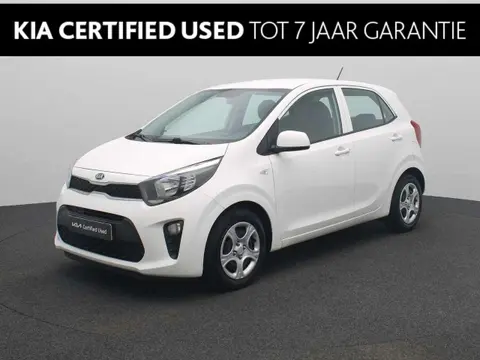 Used KIA PICANTO Petrol 2019 Ad 