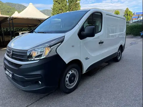 Used FIAT TALENTO Diesel 2018 Ad 