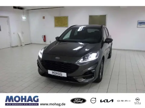 Used FORD KUGA Petrol 2021 Ad 