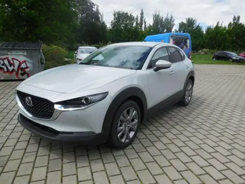 Annonce MAZDA CX-30 Hybride 2024 d'occasion 