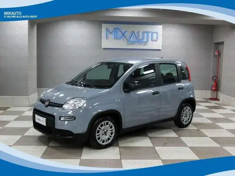 Used FIAT PANDA Hybrid 2023 Ad 