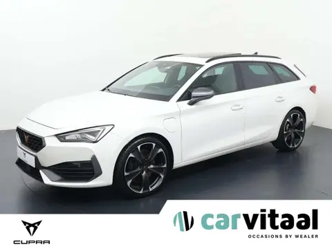 Used CUPRA LEON Hybrid 2021 Ad 