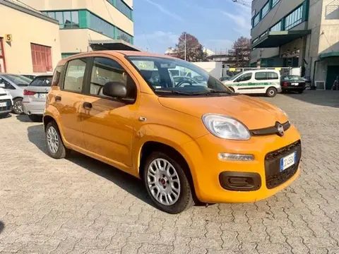 Used FIAT PANDA Hybrid 2021 Ad Italy